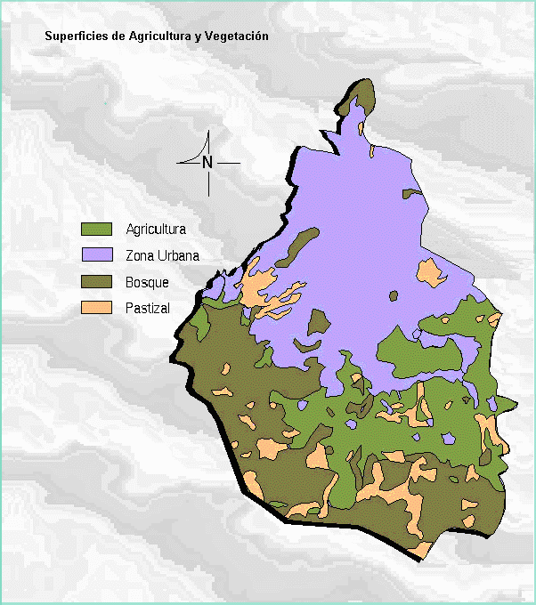 Superficies de Agricultura y Vegetación